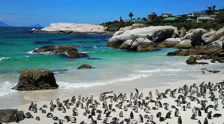 Luxurious safari lodge accommodation in South Africa game reserve