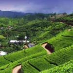 Wildlife and nature exploration in Sri Lanka tour thumbnail